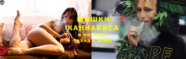 спайс Алексин