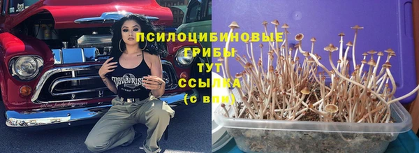 спайс Алексин